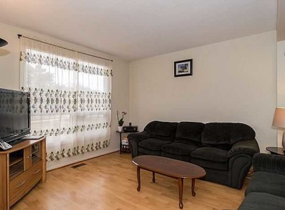 1397palmerston1