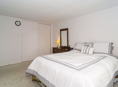 1397palmerston7