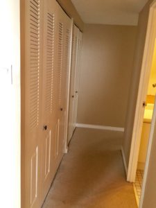 pic-20